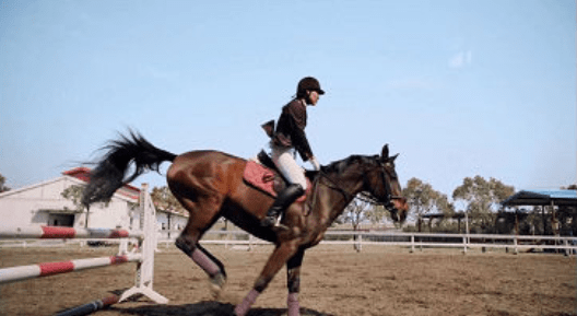 假日中心商業(yè)模式宣傳視頻制作