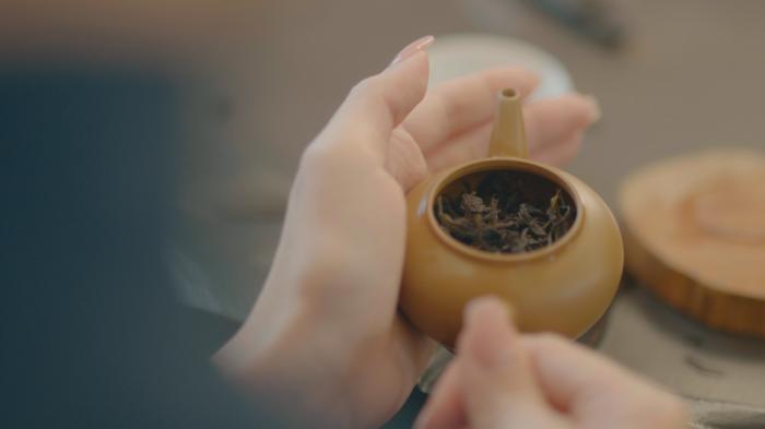 茶葉品牌短視頻拍攝制作中 - 深圳拍攝品牌宣傳片 - 深圳映畫傳媒