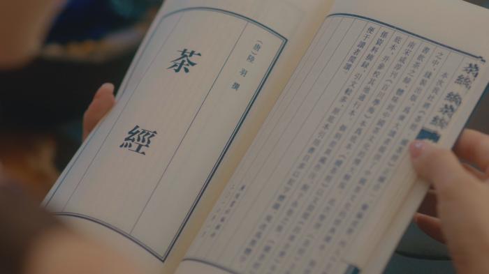 茶葉品牌短視頻拍攝制作中 - 深圳拍攝品牌宣傳片 - 深圳映畫傳媒