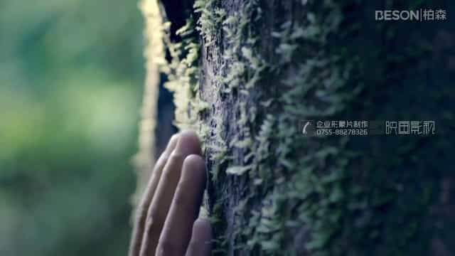 家具品牌柏森家具品牌宣傳片推薦 - 深圳拍攝品牌宣傳片 - 深圳映畫傳媒