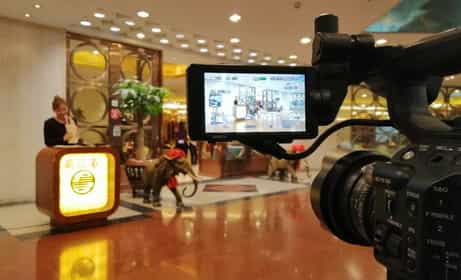 餐飲企業(yè)宣傳片拍攝制作中（潮江春） - 深圳企業(yè)宣傳片拍攝 - 深圳映畫傳媒