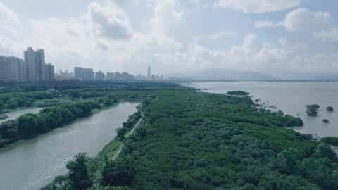 深圳環(huán)保公益宣傳片-《城市因你而美》 - 深圳宣傳片拍攝制作 - 深圳映畫傳媒